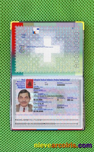 Switzerland passport photolook